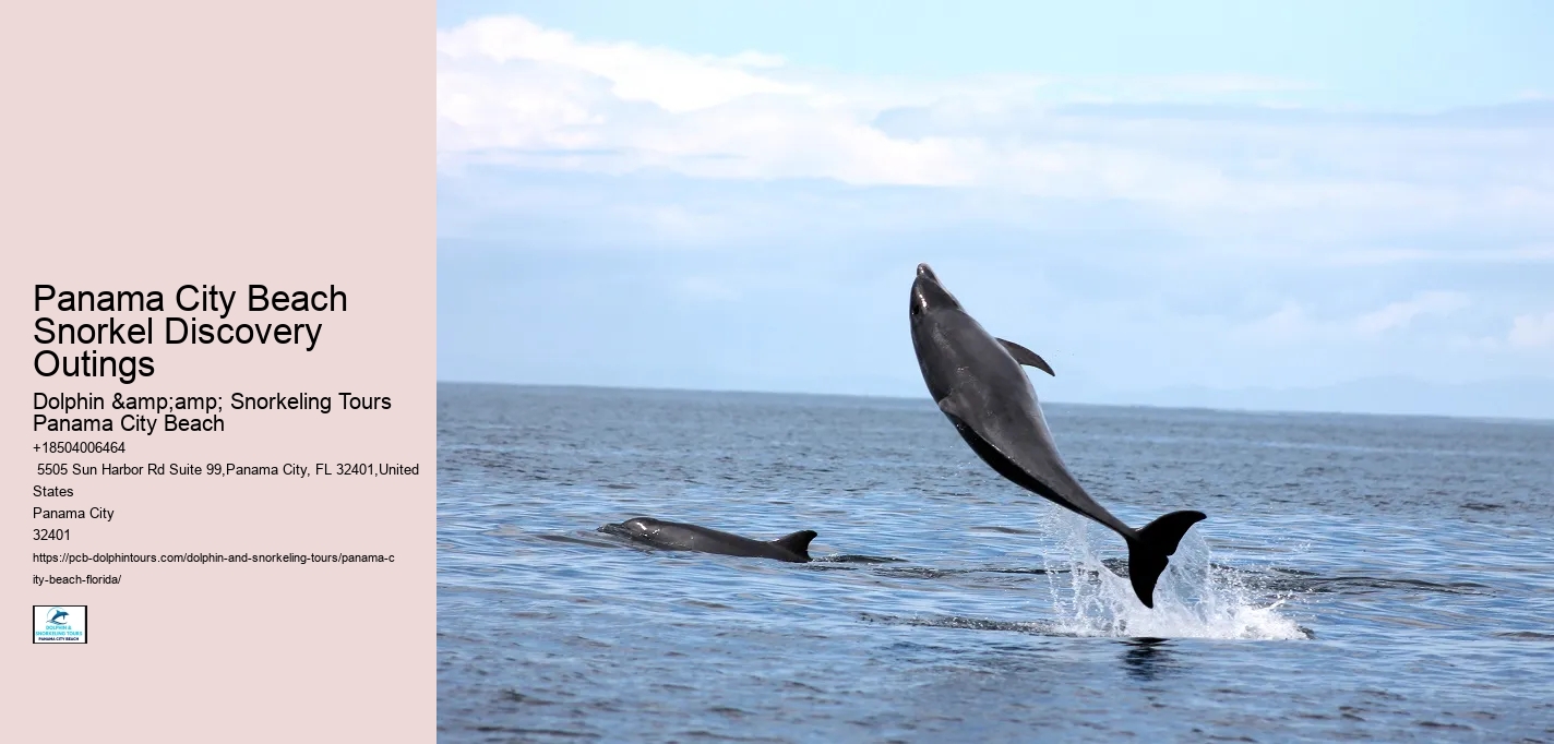 Panama City Beach Snorkel Discovery Outings
