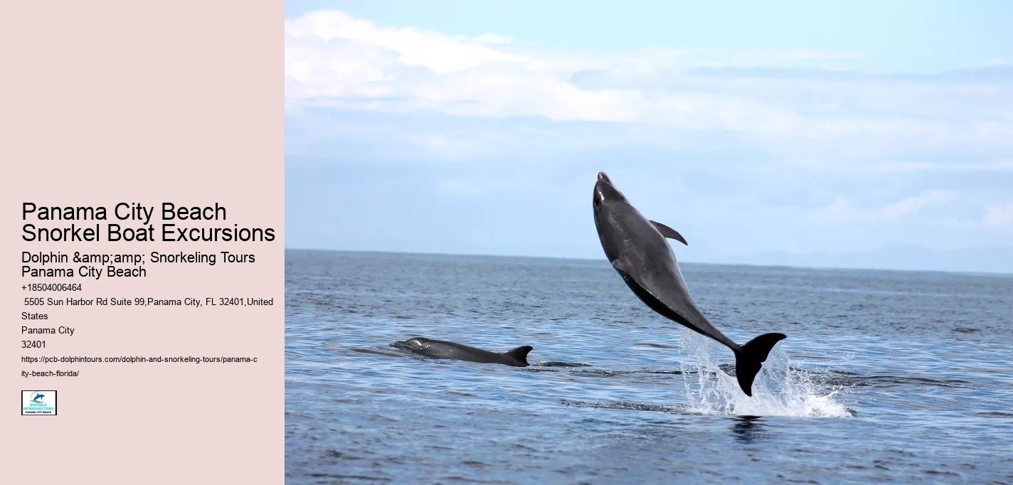 Panama City Beach Snorkel Boat Excursions