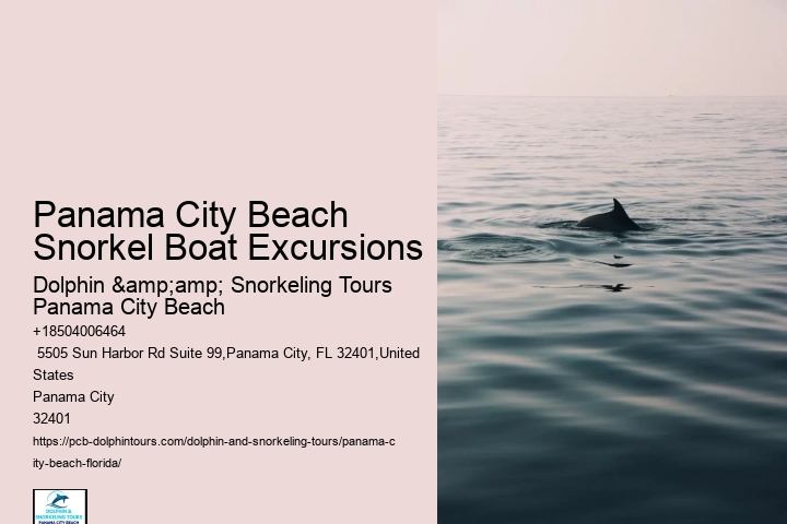 Snorkeling Tours From Panama City Beach