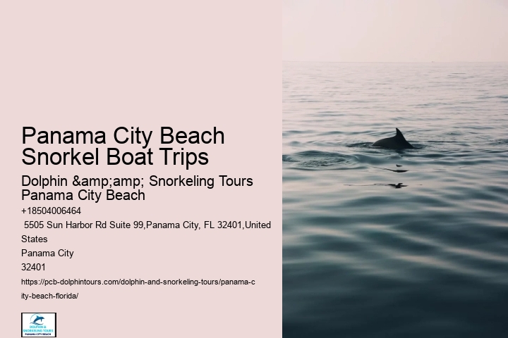 Are Panama City Beach Snorkeling Tours Available Year-round
