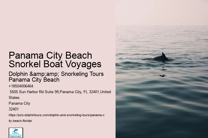 Panama City Beach Snorkel Sightseeing Trips