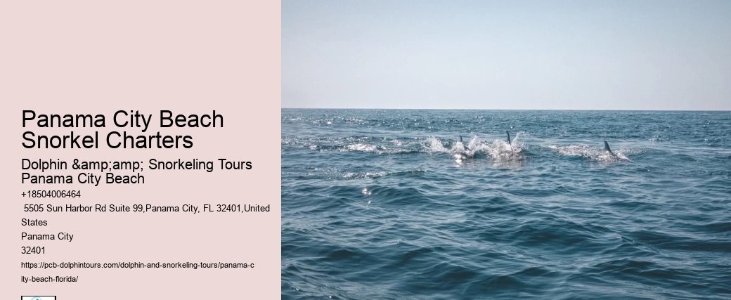 Are Panama City Beach Snorkeling Tours Wheelchair Accessible