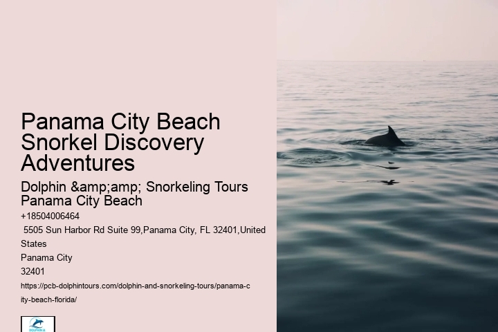 Panama City Beach Snorkel Safaris