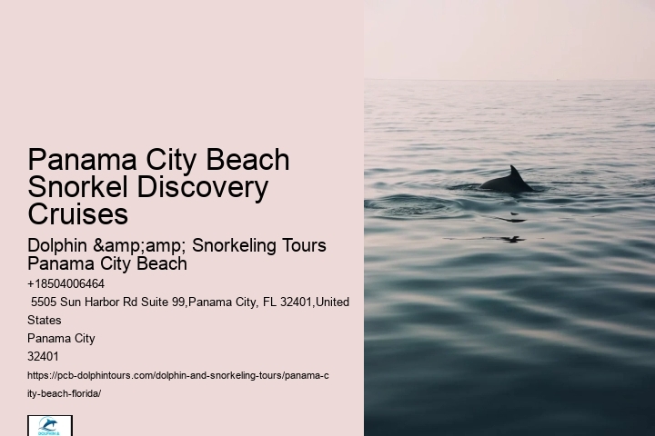 Can I Snorkel Alongside Dolphins During The Tour