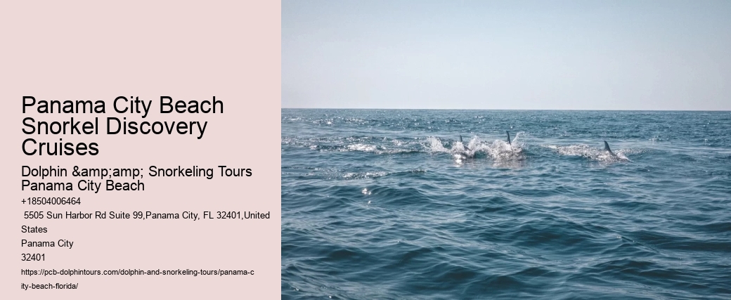 Panama City Beach Snorkeling Tours Hudson Valley
