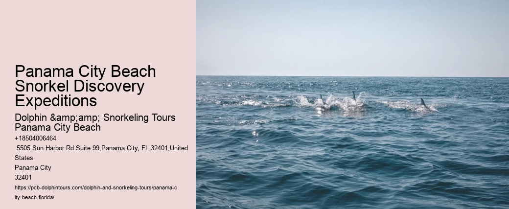 Panama City Beach Snorkeling Tours Queens