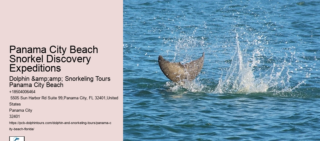 Snorkel Tours
