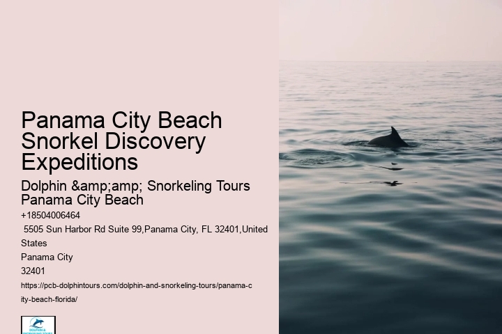 Are Panama City Beach Snorkeling Tours Suitable For Beginners