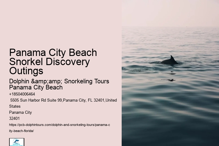 Panama City Beach Snorkeling Tours Jacksonville Fl
