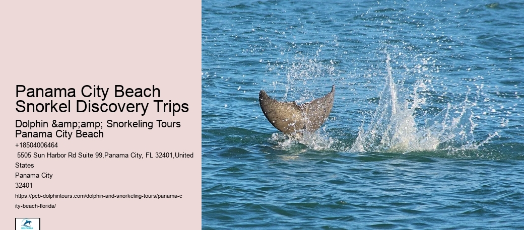 Panama City Beach Snorkeling Tours Vero Beach Fl