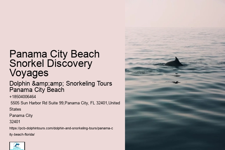 Panama City Beach Snorkeling Tours Voyager