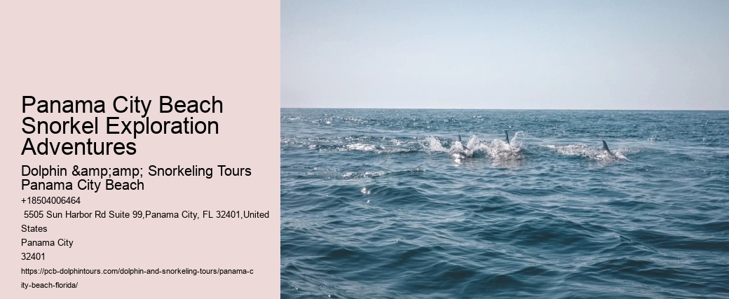 Snorkel Tours