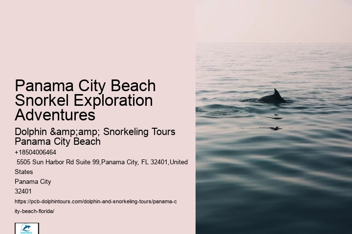 Snorkeling Trips Around Panama City Beach