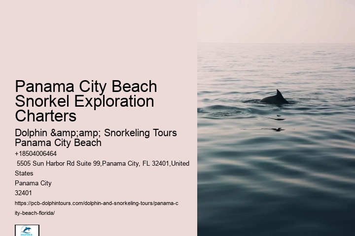 Panama City Beach Snorkeling Tours Roosevelt Mountains
