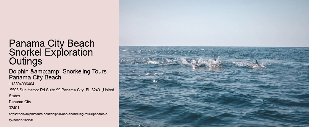 Panama City Beach Snorkeling Tours More