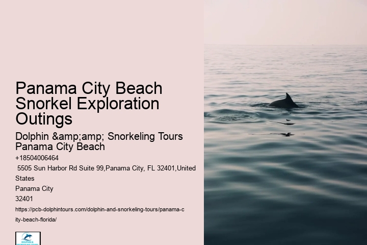 Panama City Beach Snorkel Discovery Expeditions