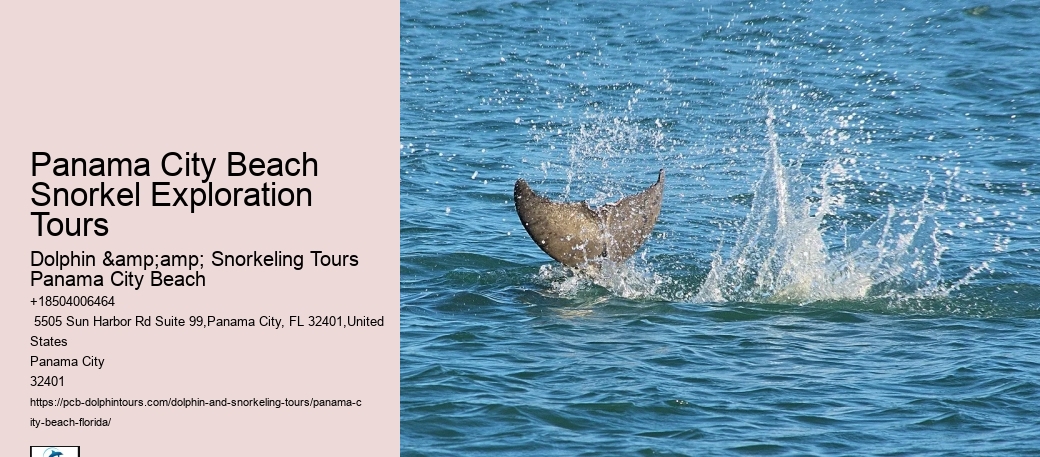 Panama City Beach Snorkeling Tours Delaware Valley