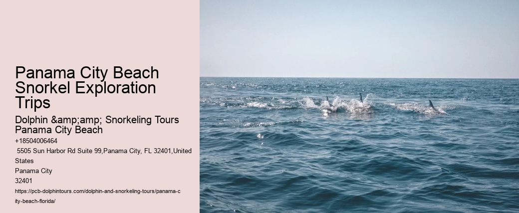 Panama City Beach Snorkeling Tours