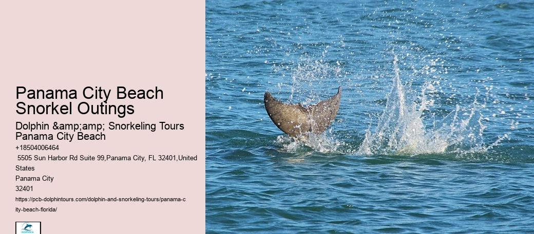 Panama City Beach Snorkeling Tours To Molokini