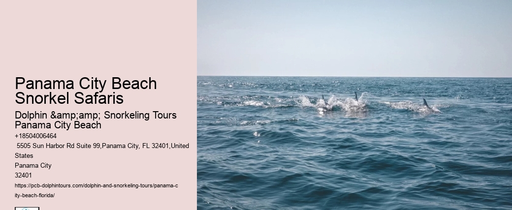 Panama City Beach Snorkel Discovery Voyages