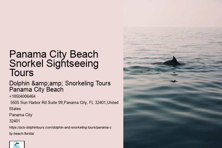Snorkeling Charters Departing From Panama City Beach