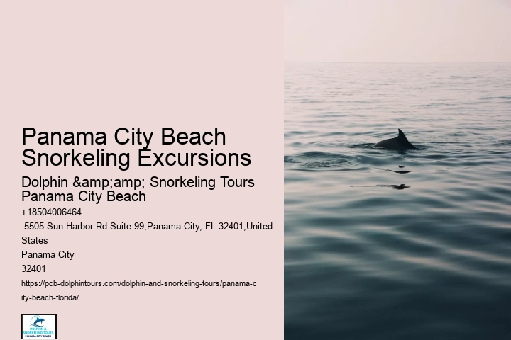 Panama City Beach Snorkeling Tours Llc
