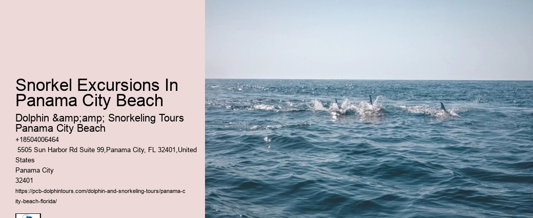 Panama City Beach Snorkeling Tours Caye Caulker