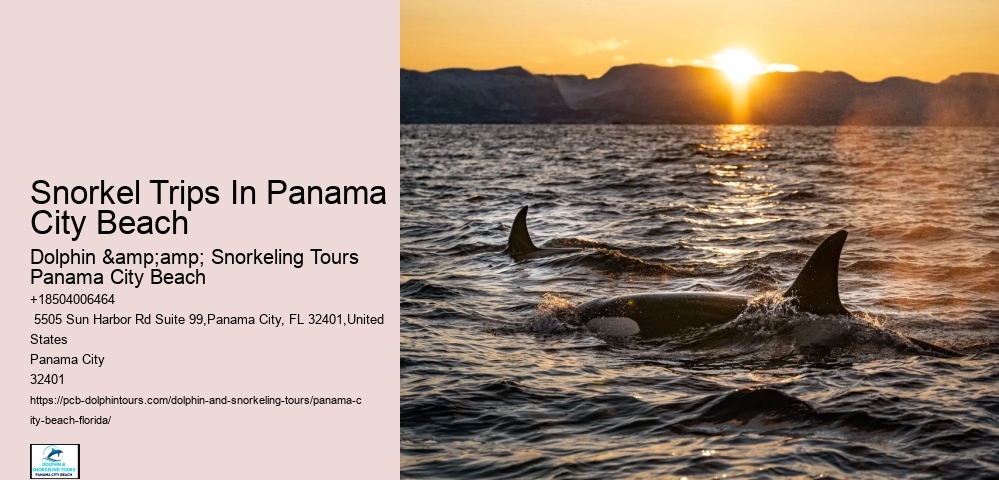 Panama City Beach Snorkeling Tours Advisory