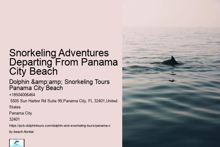 Panama City Beach Snorkeling Tour Walking