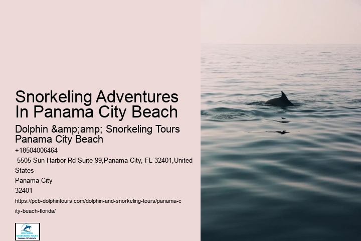 Panama City Beach Snorkel Adventures