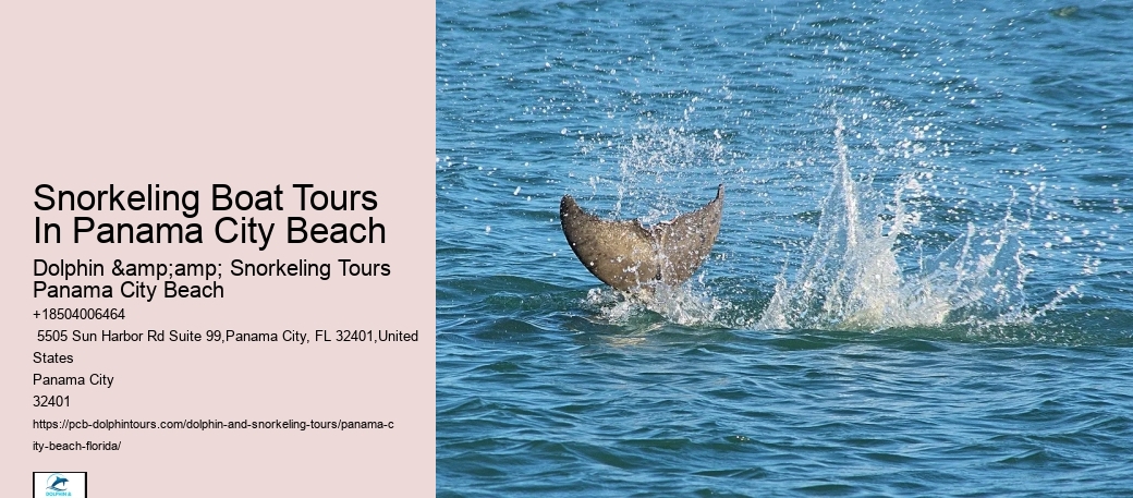 Snorkeling Tours