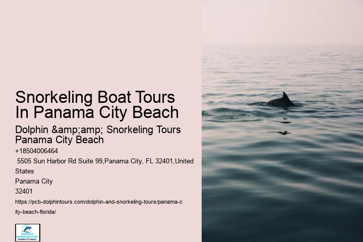 Panama City Beach Snorkeling Tours Venice Florida