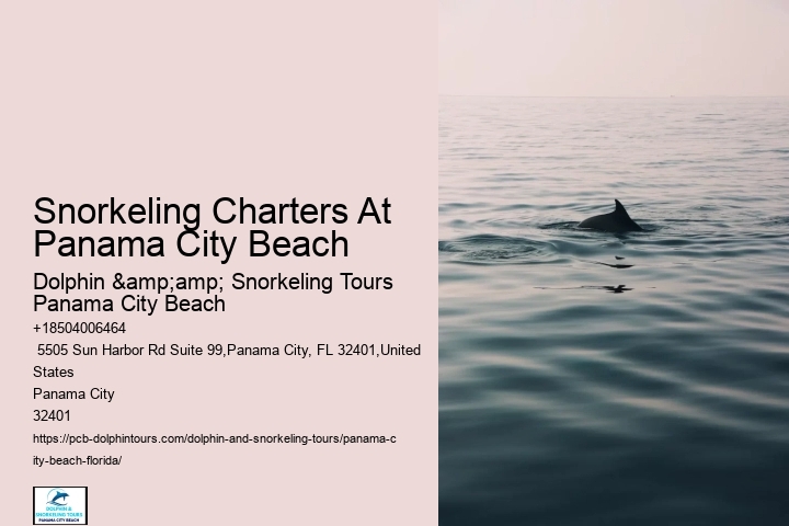 Panama City Beach Snorkel Discovery Cruises