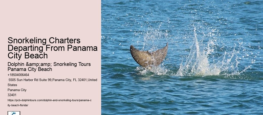 Snorkeling Escapades In Panama City Beach