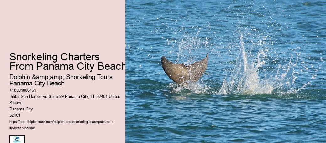 Panama City Beach Snorkel Adventure Cruises