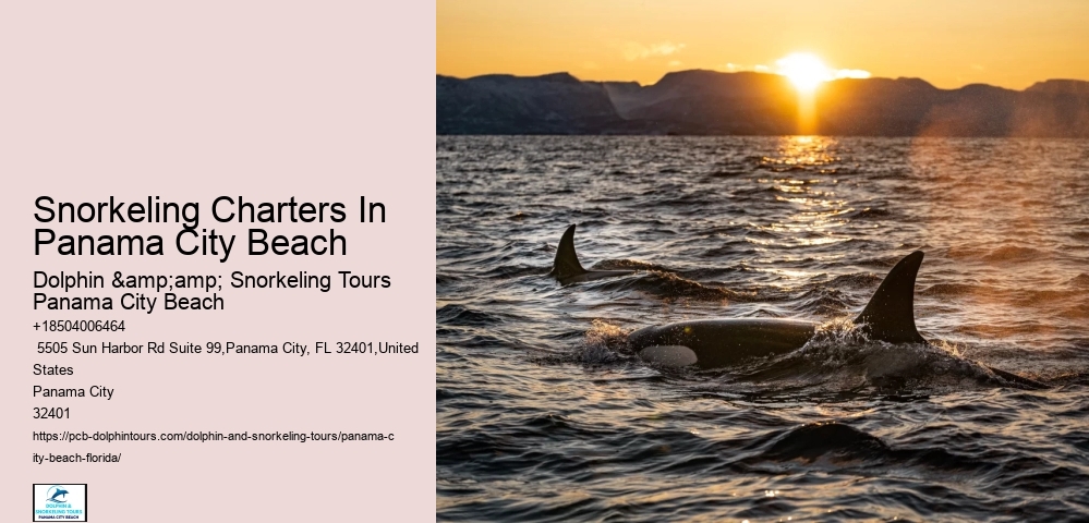 Panama City Beach Snorkeling Tours Delaware Mountains