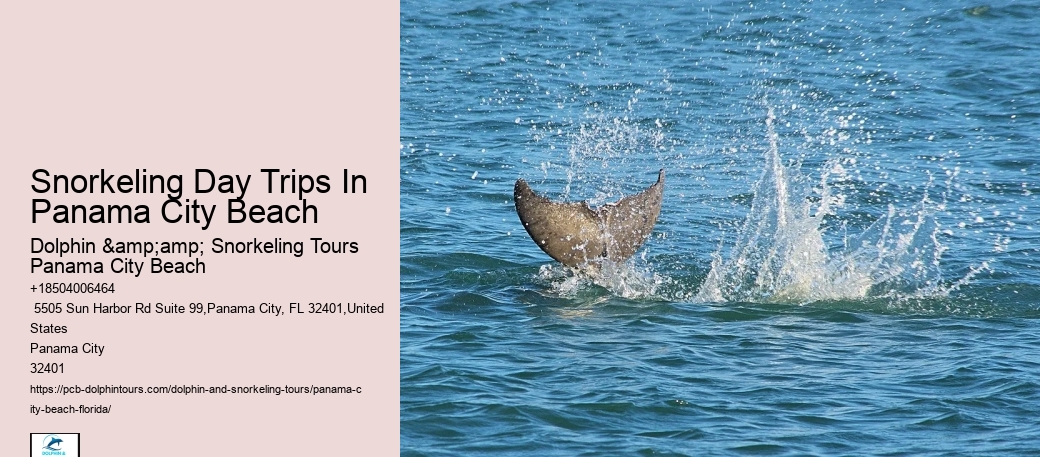 Panama City Beach Snorkeling Tours Rudy's