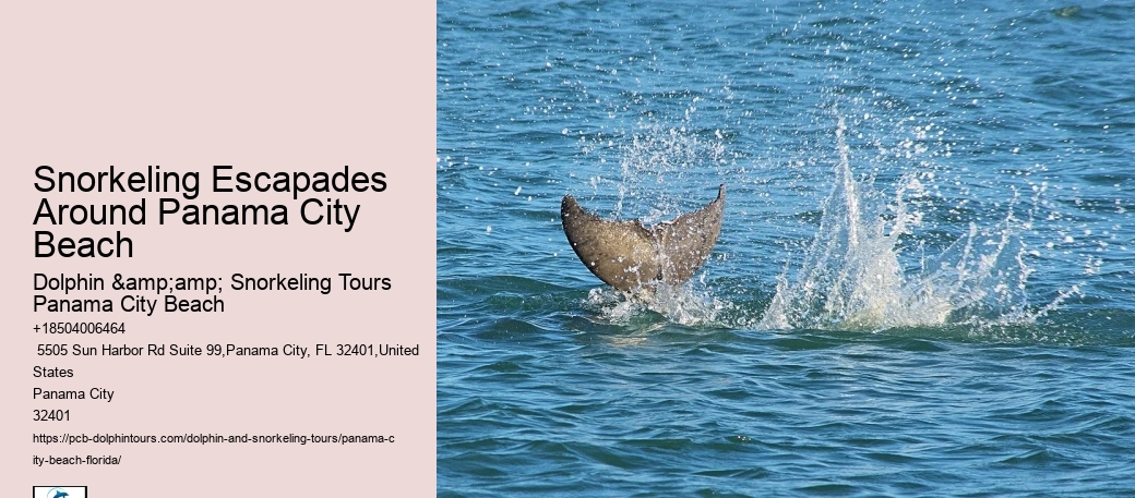 Panama City Beach Snorkel Boat Outings