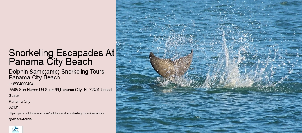 Can I Book A Private Snorkeling Tour In Panama City Beach