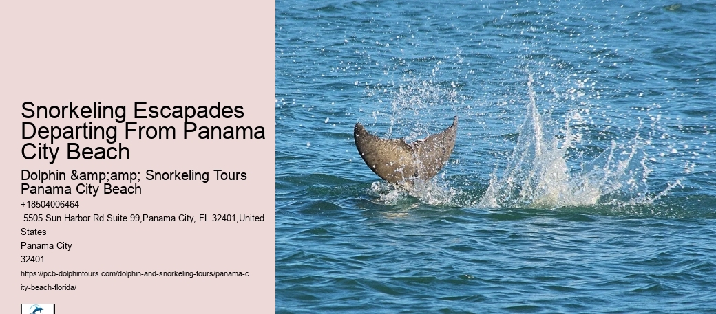 Panama City Beach Snorkeling Tours Fl