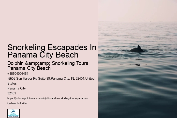Panama City Beach Snorkel Watching Adventures