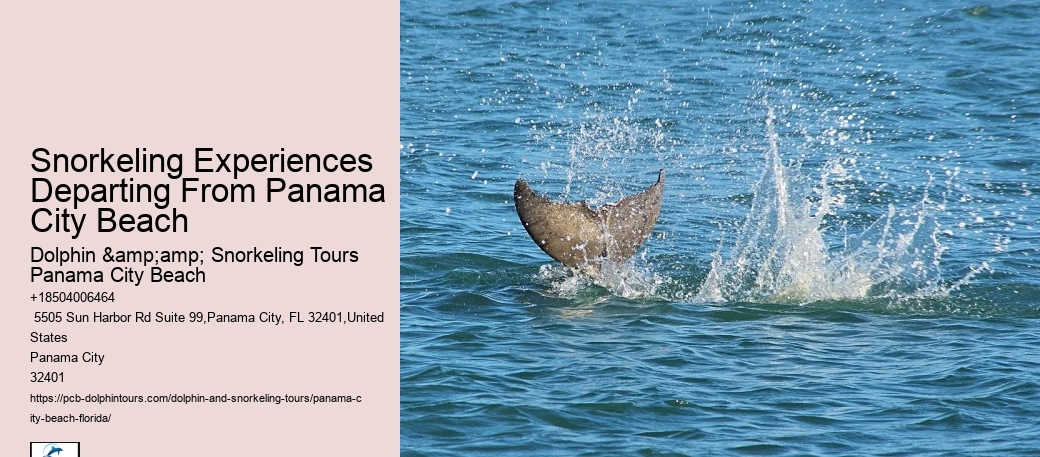 Panama City Beach Snorkeling Tours Fishing