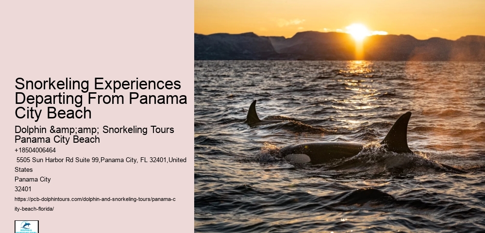 Panama City Beach Snorkeling Tours Queens Bay