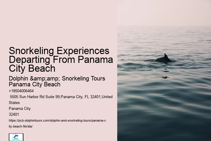 Panama City Beach Snorkeling Tours Molokini