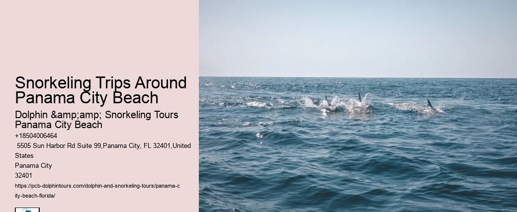 Panama City Beach Snorkeling Tours 320
