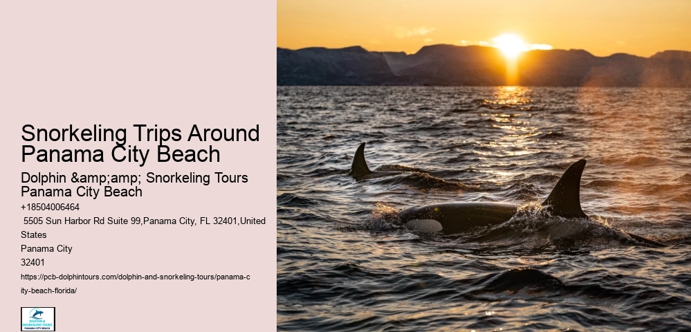 Snorkeling Trips Departing From Panama City Beach