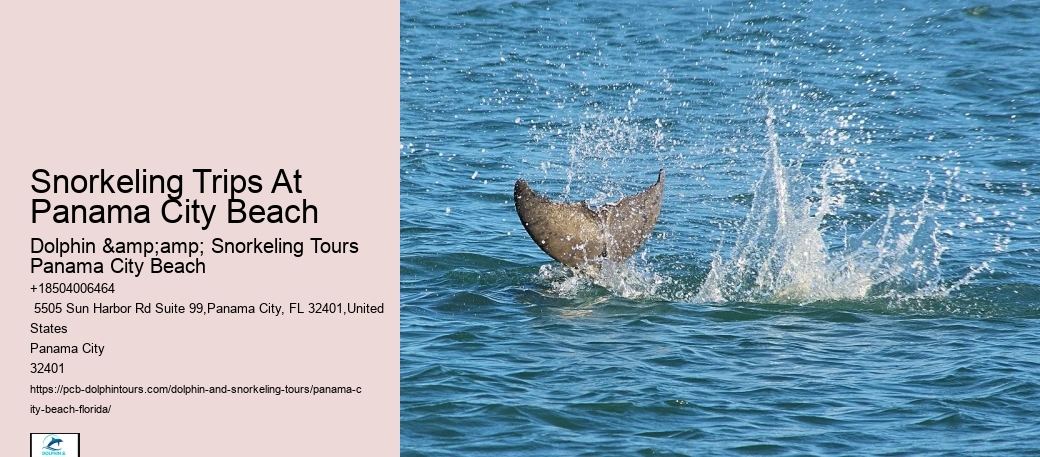 Panama City Beach Snorkel Discovery Expeditions