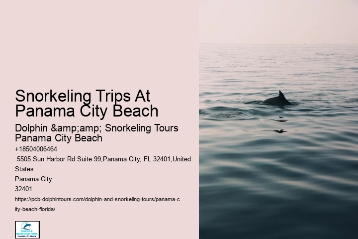 Snorkeling Charters Departing From Panama City Beach