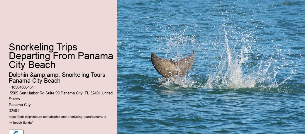Panama City Beach Snorkeling Tours Times