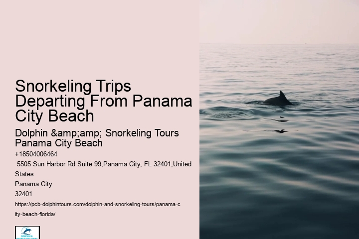 Are There Any Coral Reefs Near Panama City Beach Beach